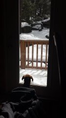 Peanut waiting for Santa