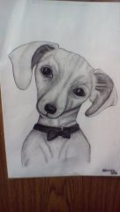 Yosemite Intern, Rachel, created this Alien/Peanut Masterpiece! ❤️