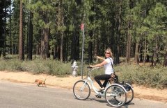 Peanut taking me for a ride in South Lake Tahoe