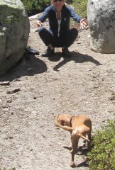 Peanut Peeing on the Pacific Crest Trail