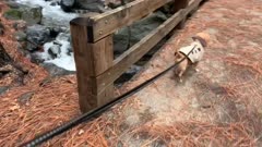 Video: Turn up the Volume!